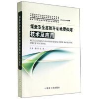 礦業(yè)工程技術(shù)咨詢與技術(shù)服務的核心價值與發(fā)展前景